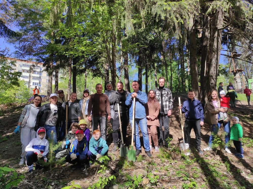 ​30 хвойных деревьев высадили жители микрорайона Берша в парке «Тишино».