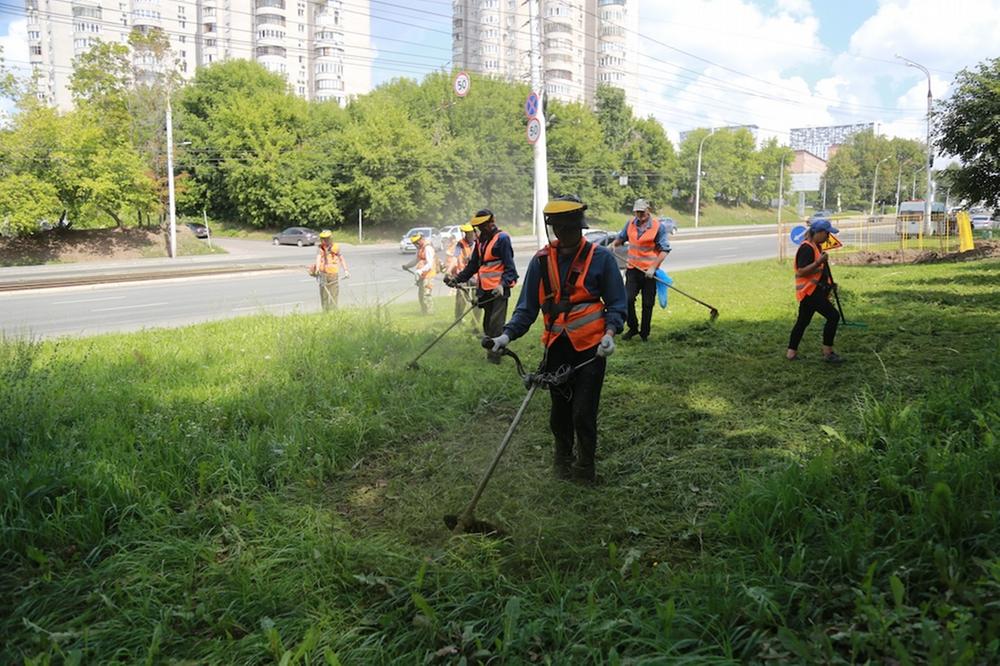 В Ижевске начался второй этап покосов травы вдоль автодорог.