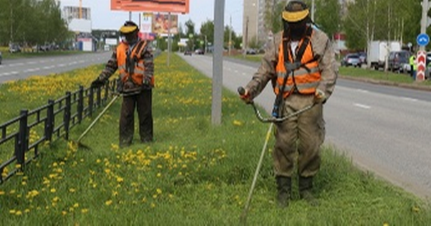 В Ижевске начались работы по покосу травы вдоль автомагистралей.
