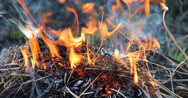 В Удмуртии сохраняется высокая пожароопасность лесов.