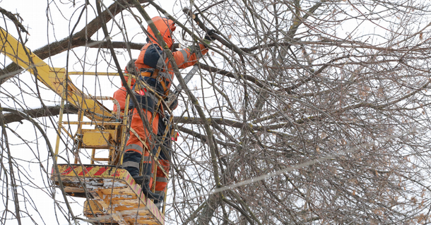 В Ижевске убирают аварийные деревья вдоль улично-дорожной сети.